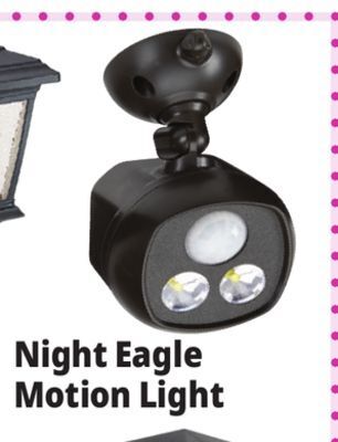 Ocean State Job Lot Night eagle motion-activated sensor security spotlight offer