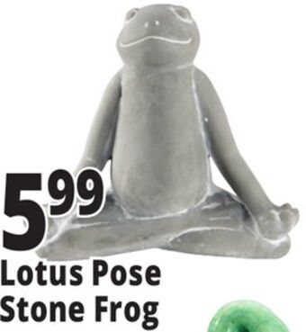 Ocean State Job Lot Lotus pose stone frog offer