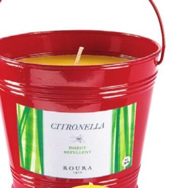 Ocean State Job Lot Citronella candle in bucket, 24 oz offer