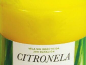 Ocean State Job Lot Citronella candle in bucket, 24 oz offer