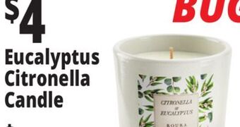 Ocean State Job Lot Roura citronella & eucalyptus candle offer