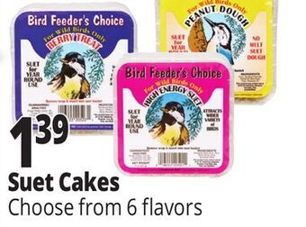 Ocean State Job Lot Bird feeder's choice high energy suet, 11 oz offer