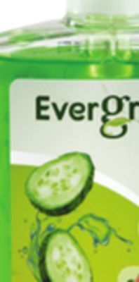 Ocean State Job Lot Evergreen antibacterial hand soaps offer