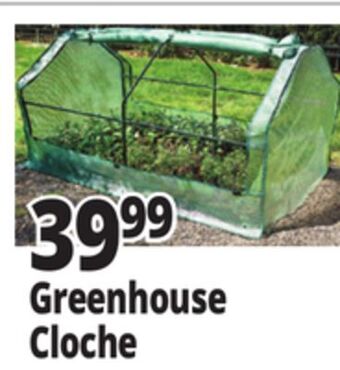 Ocean State Job Lot Greenhouse cloche offer