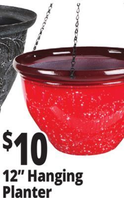 Ocean State Job Lot Hanging 12 planter offer