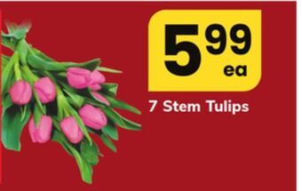 ACME 7 stem tulips offer