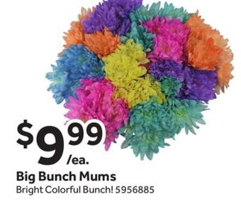 Stop&Shop Big bunch mums offer