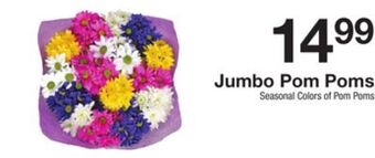 The Fresh Grocer Jumbo pom poms offer