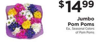 ShopRite Jumbo pom poms offer