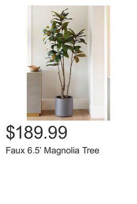 Costco Faux 6.5' magnolia tree offer
