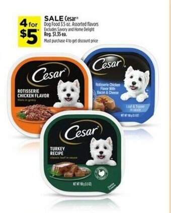 Dollar General Cesar Dog Food 3.5 oz offer