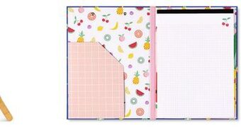 Aldi Pembrook fashion portfolio with writing pad offer