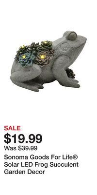 Kohl's Sonoma goods for life® solar led frog succulent garden decor offer