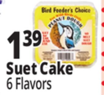 Ocean State Job Lot Bird feeder's choice high energy suet, 11 oz offer