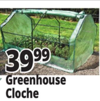 Ocean State Job Lot Greenhouse cloche offer