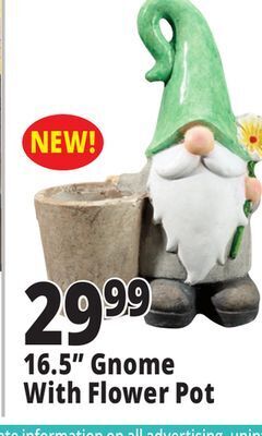 Ocean State Job Lot 16.5 gnome with flower pot offer