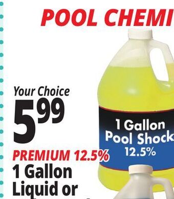 Ocean State Job Lot Pool shock offer