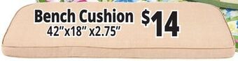 Ocean State Job Lot Bench cushion offer