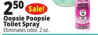 Ocean State Job Lot Oopsie poopsie toilet spray offer