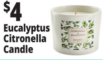 Ocean State Job Lot Eucalyptus citronella candle offer