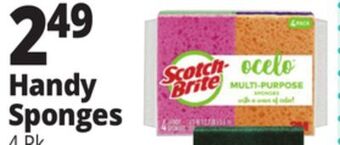 Ocean State Job Lot Ocelo anti-bacterial sponges, 4 pack offer