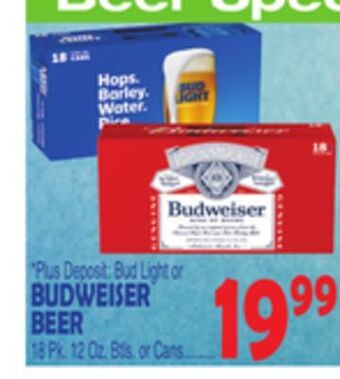 Bravo Supermarkets Budweiser beer offer