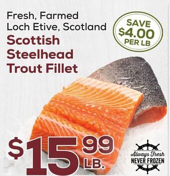 DeCicco & Sons Scottish steelhead trout fillet offer