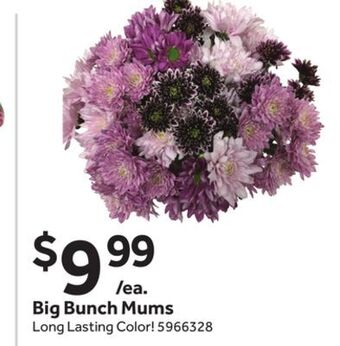 Stop&Shop Big bunch mums offer
