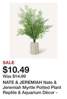 Petsmart Nate & jeremiah myrtle potted plant reptile & aquarium décor - 14.5 offer