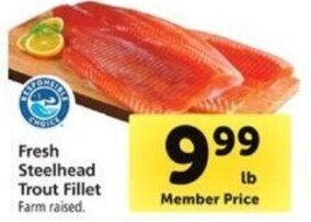 Safeway Fresh Steelhead Trout Fillet offer
