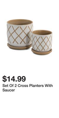 TJ Maxx Set of 2 cross planters with saucer offer