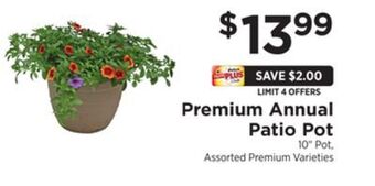 ShopRite Premium annual patio pot offer
