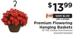 ShopRite Premium flowering hanging baskets offer