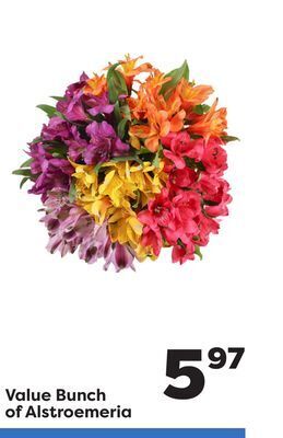 Weis Markets Value bunch of alstroemeria offer