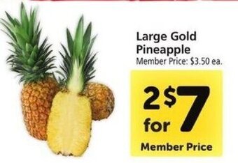 Safeway Large Gold Pineapple offer
