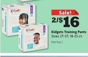 Family Dollar Kidgets training pants offer