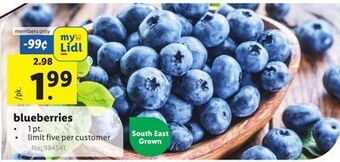 Lidl Blueberries offer