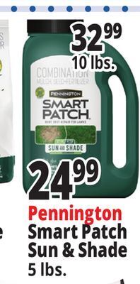 Ocean State Job Lot Pennington smart patch grass seed fertilizer mulch, 5 lbs offer