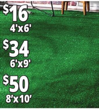 Ocean State Job Lot Artificial grass offer