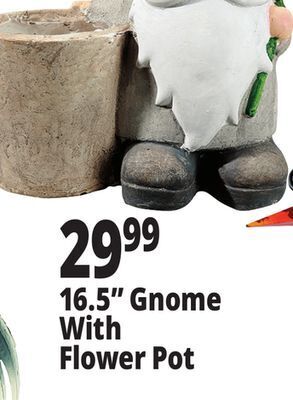 Ocean State Job Lot 16.5 gnome with flower pot offer