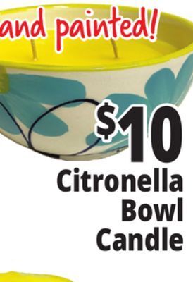 Ocean State Job Lot Citronella bowl candle offer