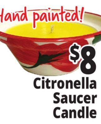 Ocean State Job Lot Citronella saucer candle offer