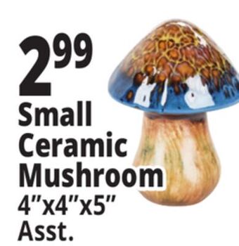 Ocean State Job Lot Small ceramic mushroom offer