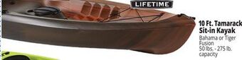 Ocean State Job Lot Lifetime tamarack 10' sit-on kayak offer