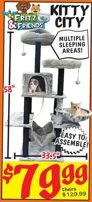 Ollie's Kitty city offer