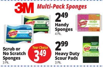 Ocean State Job Lot Sponges offer