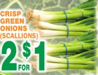 Bravo Supermarkets Crisp green onions (scallions) offer