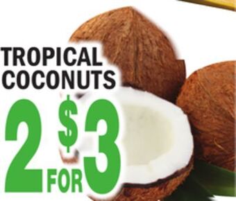 Bravo Supermarkets Tropical coconuts offer