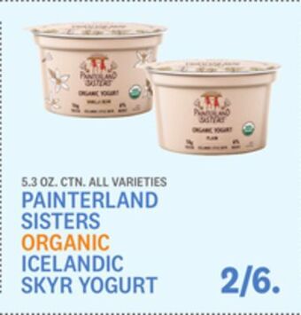 Kings Food Markets Painterland sisters organic icelandic skyr yogurt offer