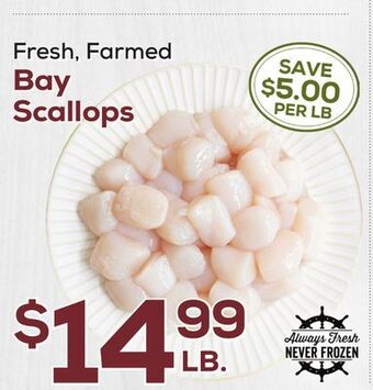 DeCicco & Sons Bay scallops offer
